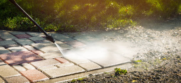 Best Animal Enclosure Cleaning  in Beckett Ridge, OH